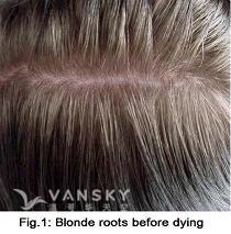 240429154309_Hair-Before Dying-s.jpg
